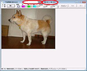 G荞񂾂Ƃ ̉
