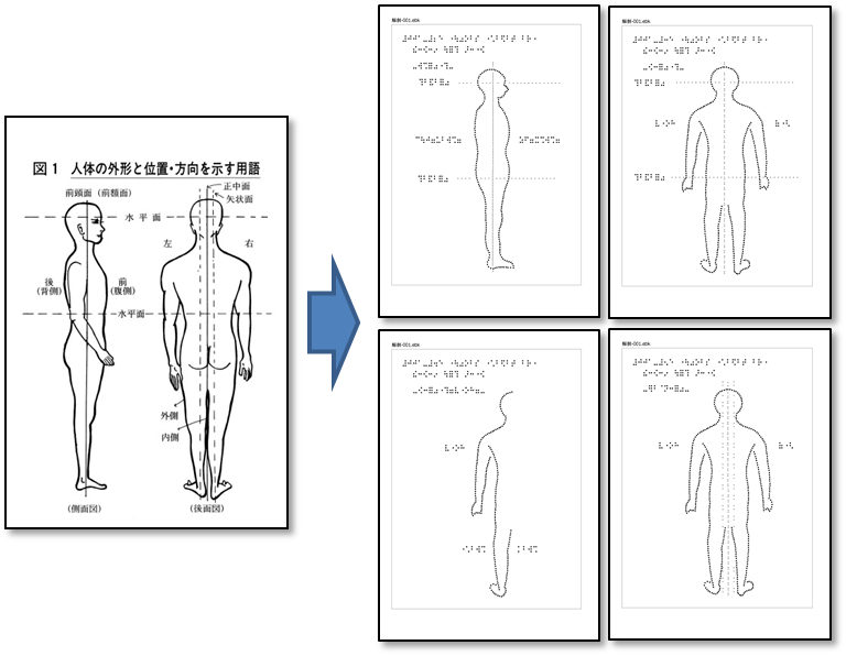 点図のデータベース化イメージ　サムネイル